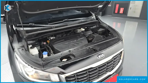 KIA CARNIVAL 9-SEATER LUXURY