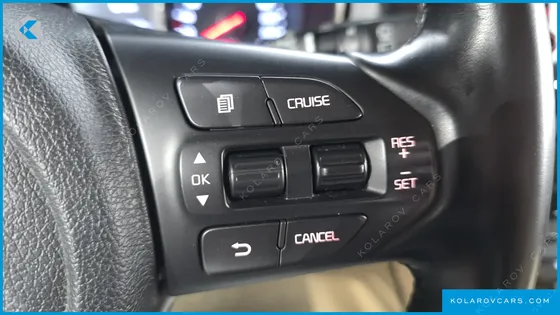 KIA CARNIVAL 9-SEATER LUXURY