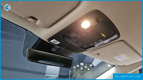 KIA CARNIVAL GASOLINE 9-SEATER SIGNATURE