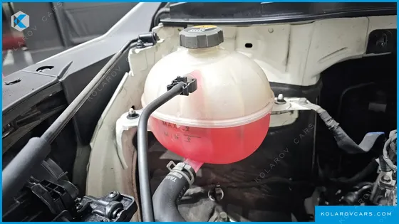 KIA CARNIVAL GASOLINE 9-SEATER SIGNATURE
