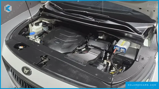 KIA CARNIVAL GASOLINE 9-SEATER LIMOUSINE(SPECIAL VEHICLE)