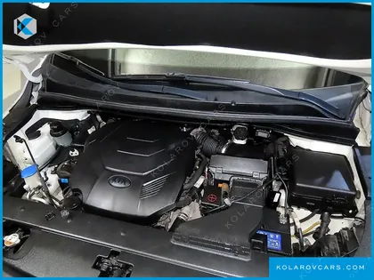 KIA CARNIVAL GASOLINE 7-SEATER HI-LIMOUSINE