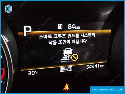 KIA CARNIVAL GASOLINE 9-SEATER NOBLESSE