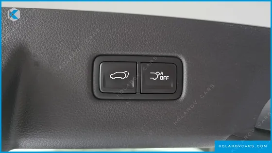 KIA CARNIVAL DIESEL 9-SEATER NOBLESSE