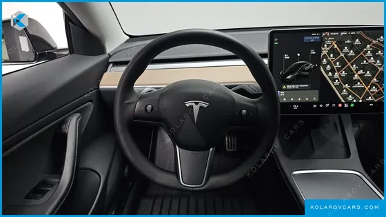 TESLA MODEL 3 PERFORMANCE AWD