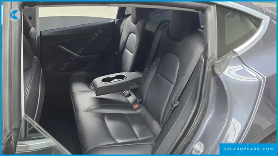 TESLA MODEL 3 STANDARD RANGE PLUE RWD