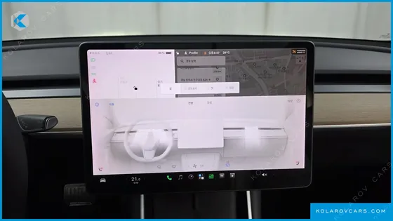 TESLA MODEL 3 STANDARD RANGE PLUE RWD