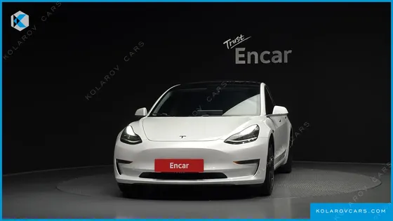 TESLA MODEL 3 STANDARD RANGE PLUE RWD