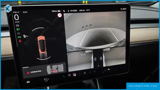 TESLA MODEL 3 STANDARD RANGE PLUE RWD