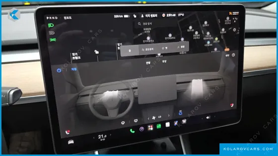TESLA MODEL 3 STANDARD RANGE PLUE RWD