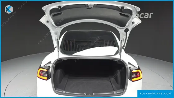 TESLA MODEL 3 STANDARD RANGE PLUE RWD