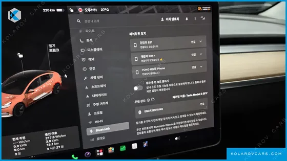 TESLA MODEL 3 STANDARD RANGE PLUE RWD
