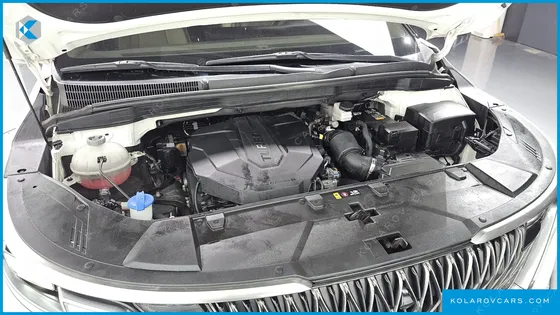 KIA CARNIVAL DIESEL 9-SEATER HI-LIMOUSINE(SPECIAL VEHICLE)