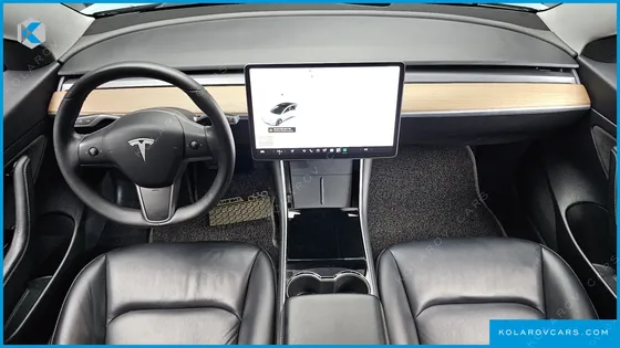TESLA MODEL 3 STANDARD RANGE PLUE RWD