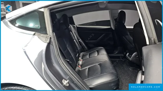 TESLA MODEL 3 STANDARD RANGE PLUE RWD