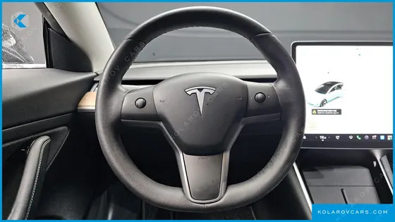 TESLA MODEL 3 STANDARD RANGE PLUE RWD