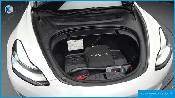 TESLA MODEL 3 STANDARD RANGE PLUE RWD
