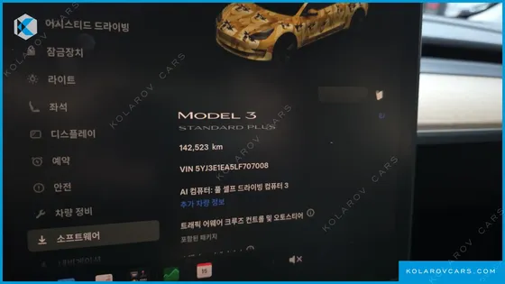 TESLA MODEL 3 STANDARD RANGE PLUE RWD