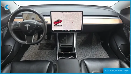 TESLA MODEL 3 STANDARD RANGE PLUE RWD