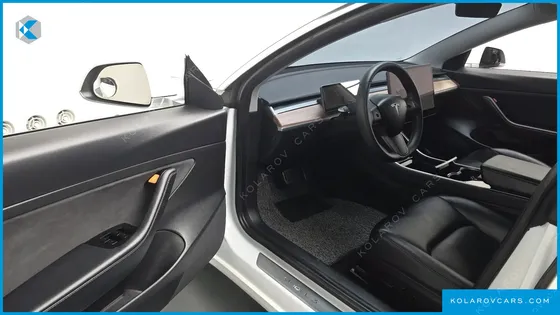 TESLA MODEL 3 STANDARD RANGE PLUE RWD