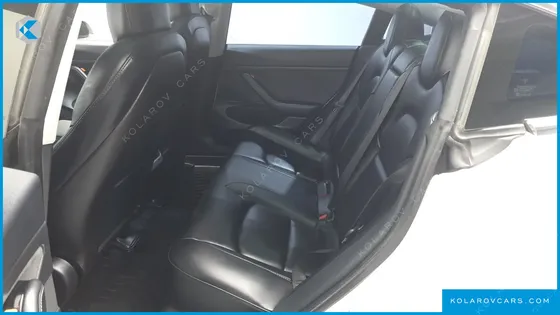 TESLA MODEL 3 STANDARD RANGE PLUE RWD