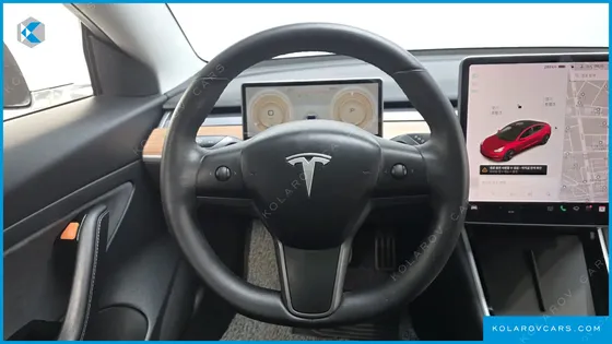 TESLA MODEL 3 STANDARD RANGE PLUE RWD