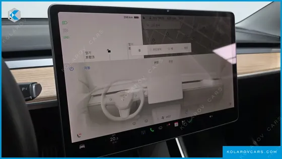TESLA MODEL 3 STANDARD RANGE PLUE RWD