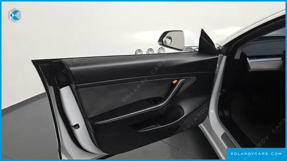 TESLA MODEL 3 STANDARD RANGE PLUE RWD
