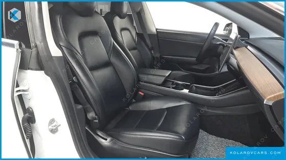 TESLA MODEL 3 STANDARD RANGE PLUE RWD