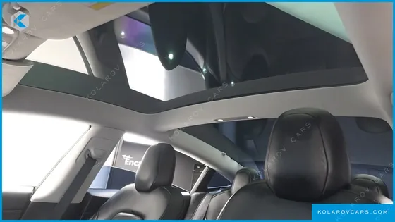 TESLA MODEL 3 STANDARD RANGE PLUE RWD