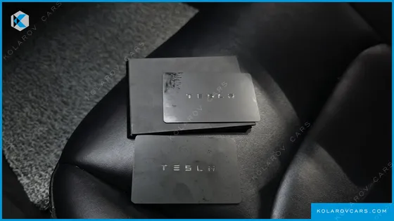 TESLA MODEL 3 STANDARD RANGE PLUE RWD