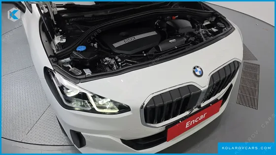 BMW 2 SERIES 220I ADVANTAGE