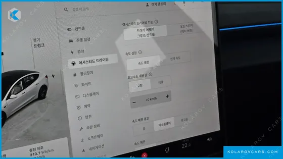 TESLA MODEL 3 스탠다드 RWD