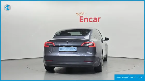 TESLA MODEL 3 STANDARD RANGE PLUE RWD