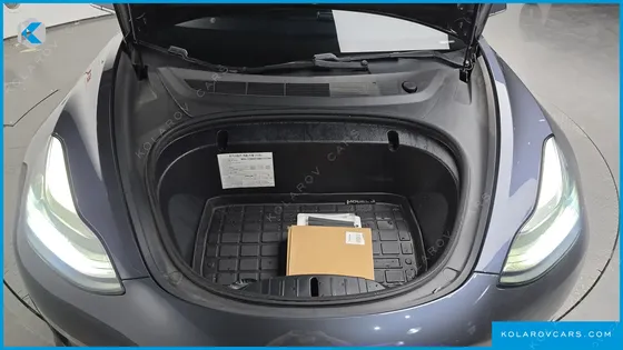 TESLA MODEL 3 STANDARD RANGE PLUE RWD