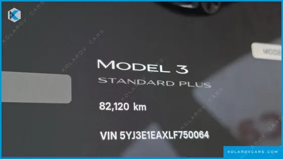 TESLA MODEL 3 STANDARD RANGE PLUE RWD