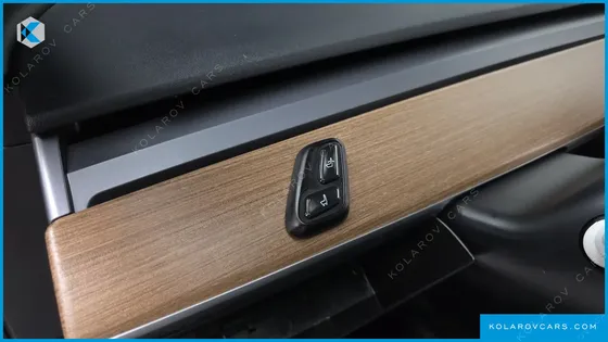 TESLA MODEL 3 STANDARD RANGE PLUE RWD