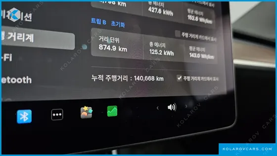 TESLA MODEL 3 STANDARD RANGE PLUE RWD