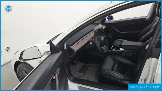 TESLA MODEL 3 STANDARD RANGE PLUE RWD