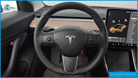TESLA MODEL 3 STANDARD RANGE PLUE RWD