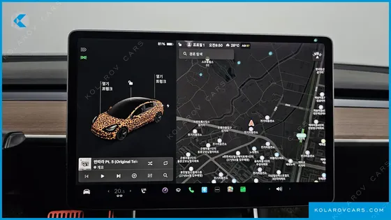 TESLA MODEL 3 STANDARD RANGE PLUE RWD