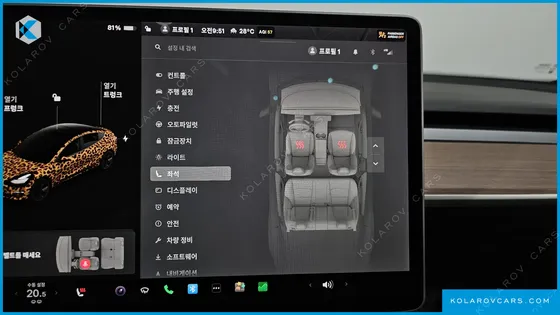 TESLA MODEL 3 STANDARD RANGE PLUE RWD