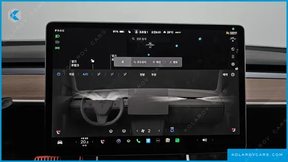 TESLA MODEL 3 STANDARD RANGE PLUE RWD