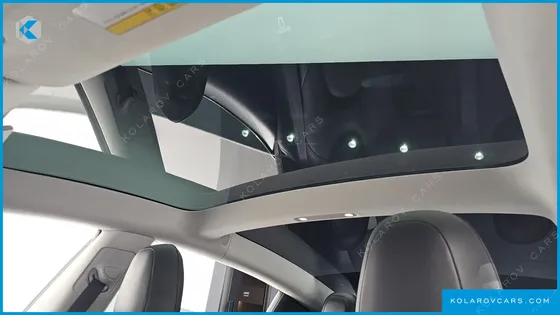 TESLA MODEL 3 STANDARD RANGE PLUE RWD