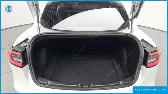 TESLA MODEL 3 STANDARD RANGE PLUE RWD