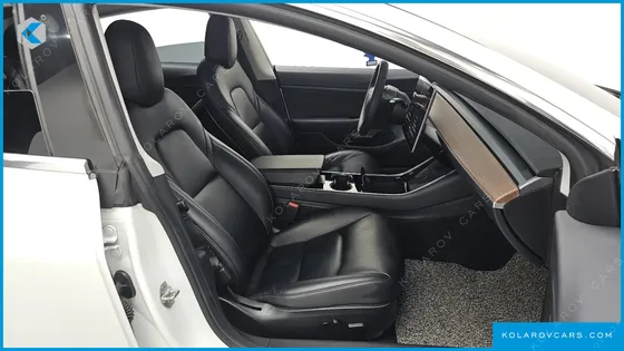 TESLA MODEL 3 STANDARD RANGE PLUE RWD