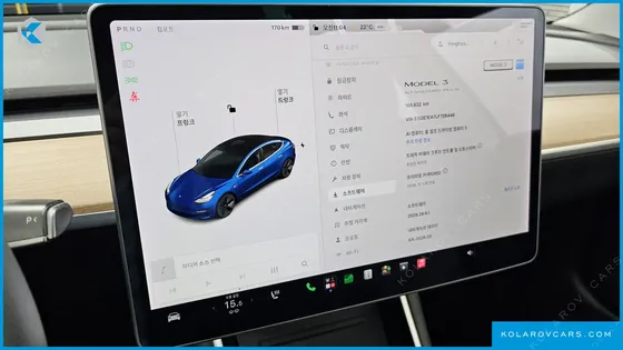 TESLA MODEL 3 STANDARD RANGE PLUE RWD