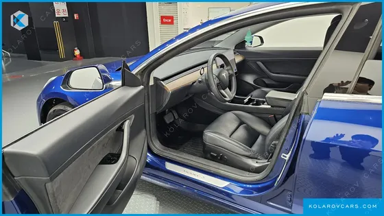 TESLA MODEL 3 STANDARD RANGE PLUE RWD