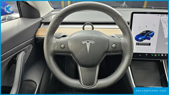 TESLA MODEL 3 STANDARD RANGE PLUE RWD
