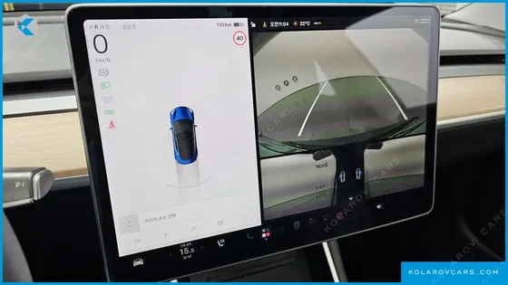 TESLA MODEL 3 STANDARD RANGE PLUE RWD